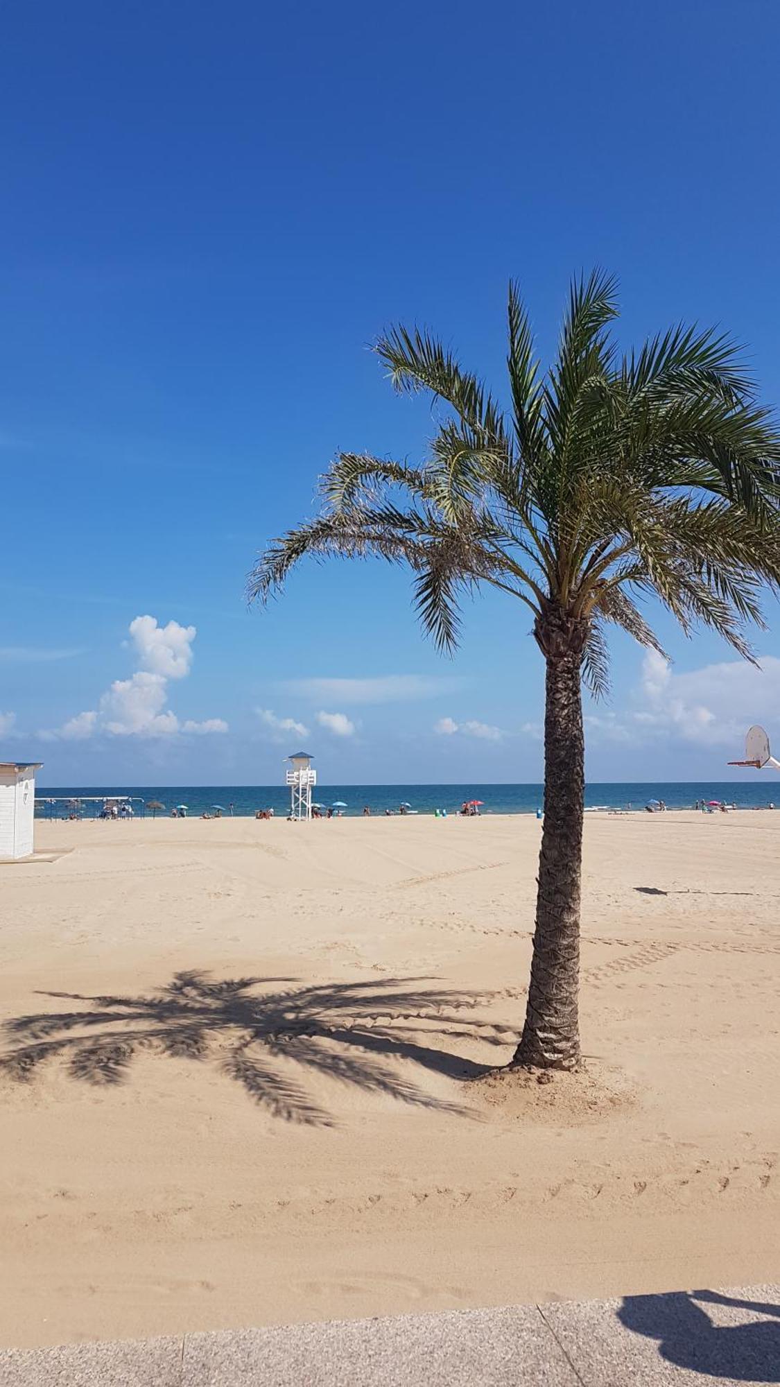 Hola Gandia Apartment Bagian luar foto